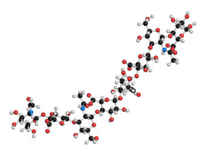 Hyaluronan (hyaluronic acid, hyaluronate) glycosaminoglycan molecule